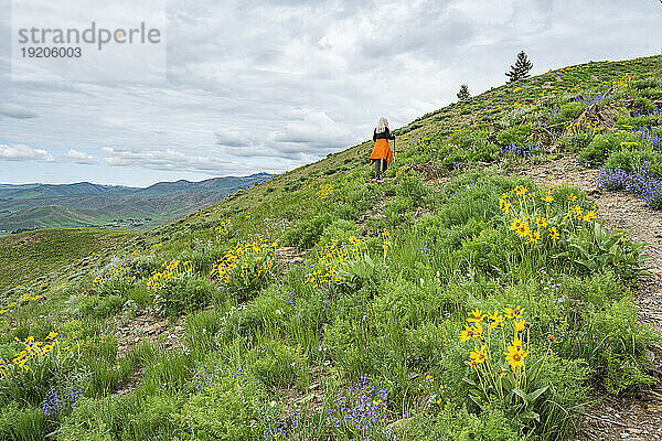 USA  Idaho  Hailey  ältere blonde Frau beim Wandern auf dem Carbonate Mountain Trail
