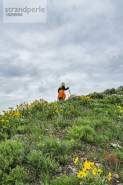 USA  Idaho  Hailey  ältere blonde Frau beim Wandern auf dem Carbonate Mountain Trail