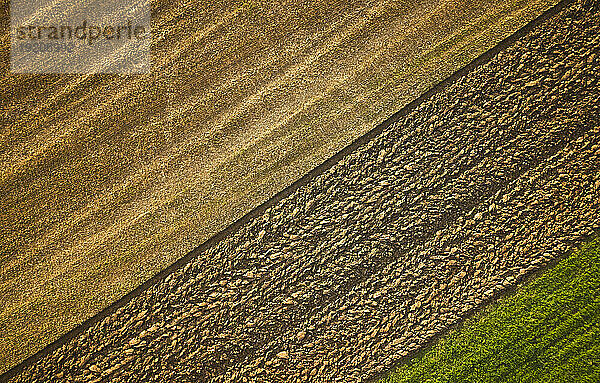 Empty plowed farm land at sunny day