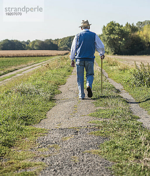 Älterer Mann mit Spazierstock  beim Spaziergang auf den Feldern  Rückansicht