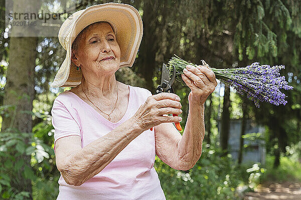 Ältere Frau beschneidet Lavendelblüten im Park