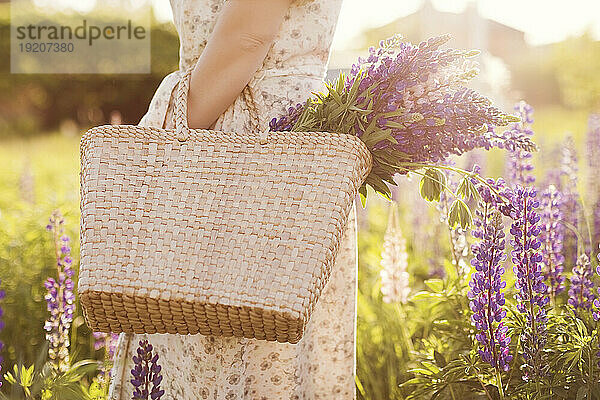 Frau hält an einem sonnigen Tag einen Korb mit lila Lupinenblüten