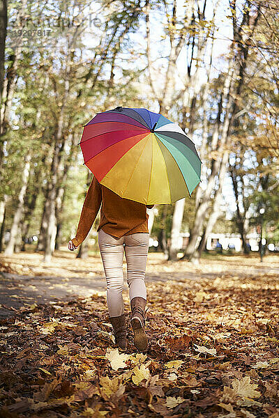 Frau geht mit buntem Regenschirm im Herbstpark spazieren