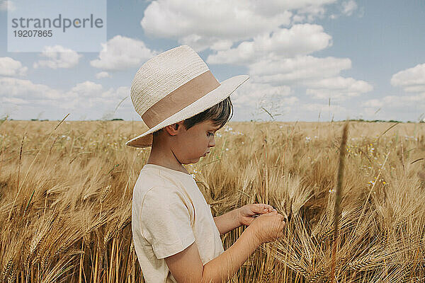 Junge mit Hut untersucht Weizenernte im Feld