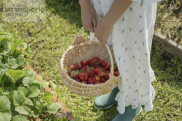 Mädchen hält Erdbeerkorb im Garten