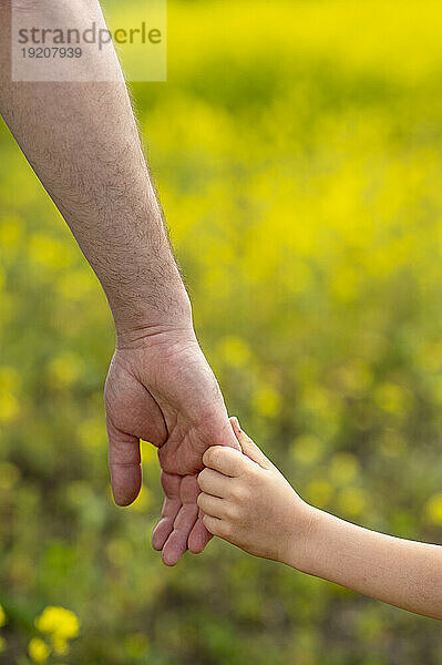Boy holding hands with father at field