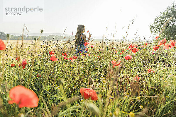 Mädchen steht und riecht Mohnblume im Feld