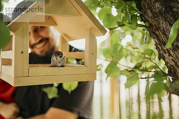 Spatz sitzt im hölzernen Vogelhaus