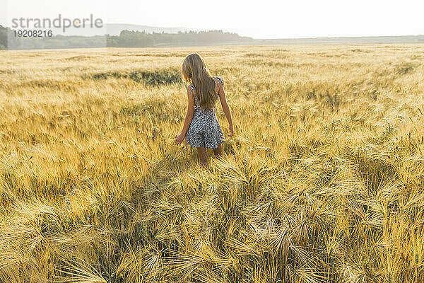 Mädchen mit langen Haaren läuft im Weizenfeld