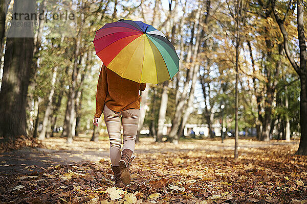 Frau mit buntem Regenschirm spaziert durch Herbstblätter im Park