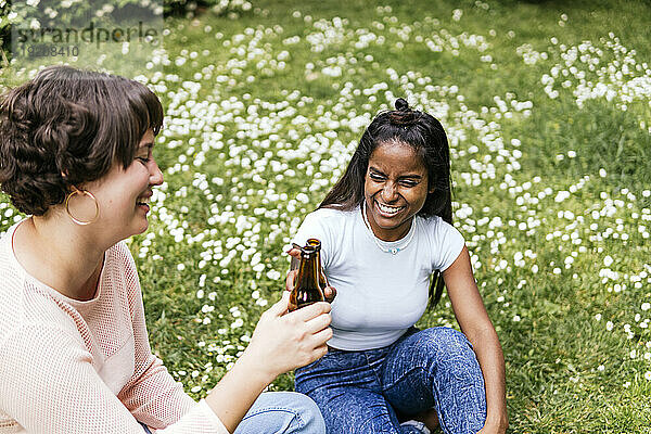 Lächelnde Freunde lachen und trinken Bier im Park