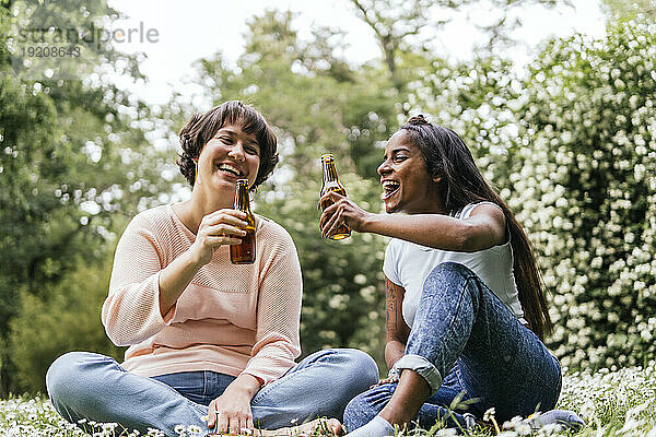 Fröhliche Freunde  die zusammen im Park Bier genießen