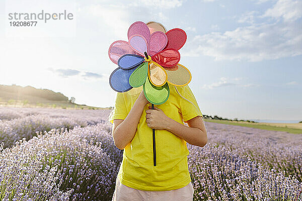 Mädchen bedeckt Gesicht mit Windradspielzeug im Lavendelfeld an sonnigem Tag