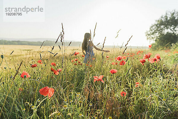 Mädchen steht inmitten von Mohnpflanzen im Feld
