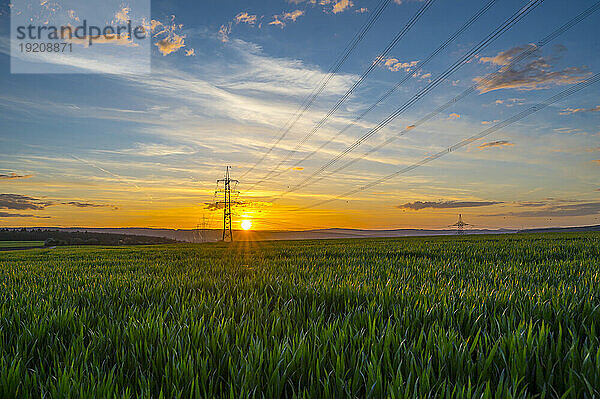 Deutschland  Hessen  Hünfelden  Strommast in weitläufiger grüner Wiese bei sommerlichem Sonnenuntergang