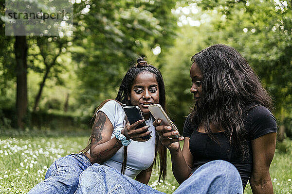 Freunde  die Mobiltelefone benutzen  sitzen im Park