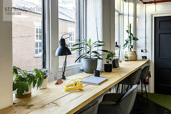 Tisch mit Laptop und Pflanzen im Coworking-Büro