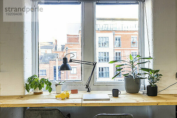 Laptop mit Kopfhörern neben Lampe und Pflanzen auf Tisch im Büro