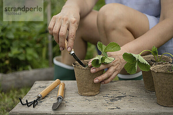 Reife Frau macht Gartenarbeit mit Werkzeugen im Garten