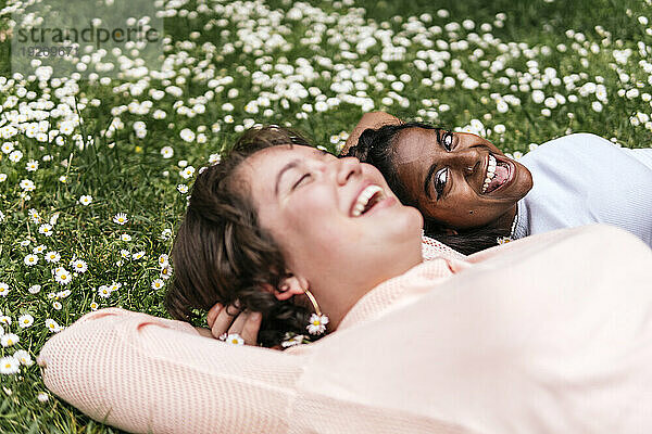 Lächelnde Freunde  die auf Gras liegen und lachen