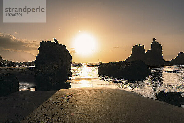 Silhouette von Felsen am Strand bei Sonnenuntergang