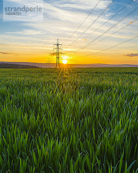 Deutschland  Hessen  Hünfelden  Strommast in weitläufiger grüner Wiese bei sommerlichem Sonnenuntergang