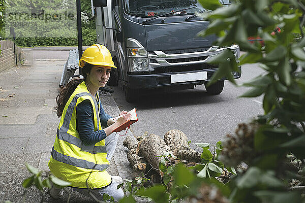 Arbeiter untersucht umgestürzten Baum auf Fußweg