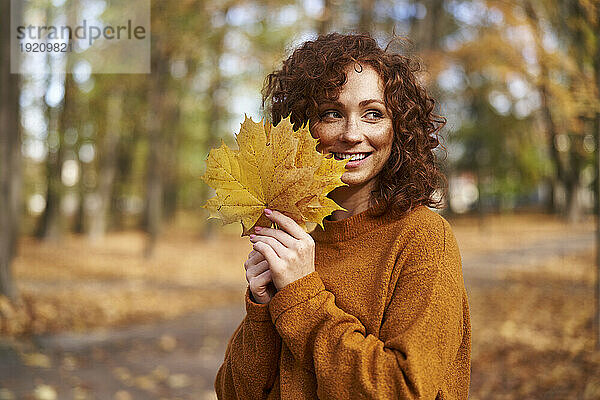Smiling redhead woman holding maple leaves at autumn park