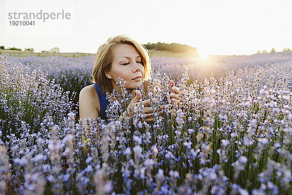 Smiling woman smelling lavender flowers in field at sunset