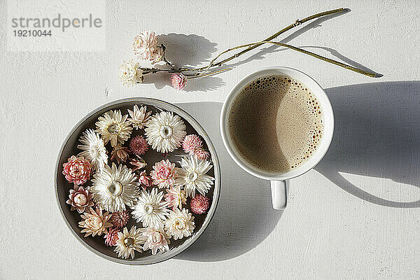 Studioaufnahme einer Schüssel mit getrockneten Blütenköpfen und einer Tasse Kaffee
