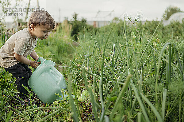 Junge gießt Pflanzen durch Dose auf dem Bauernhof