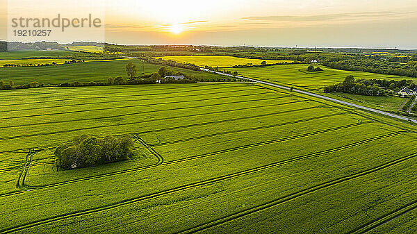Dänemark  Syddanmark  Christiansfeld  Luftaufnahme grüner Felder bei sommerlichem Sonnenuntergang