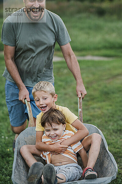 Father playing with sons sitting in wheelbarrow