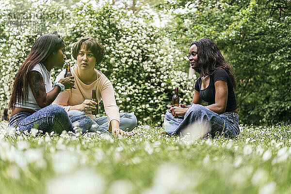 Gemischtrassige Frauen trinken Bier im Park