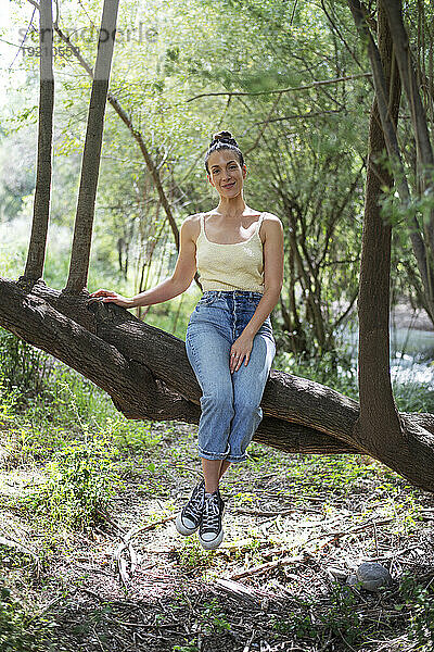 Lächelnde Frau sitzt auf einem Baum im Wald