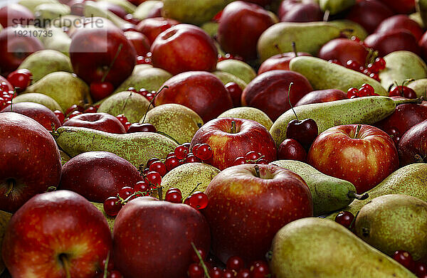 Äpfel  Birnen  Kirschen und rote Johannisbeeren