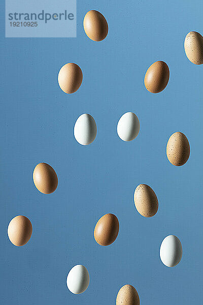 Eier vor blauem Hintergrund