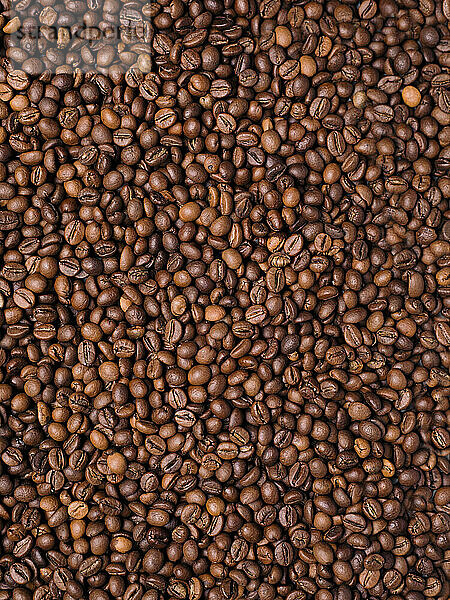Kaffeebohnen (Bildfüllend)