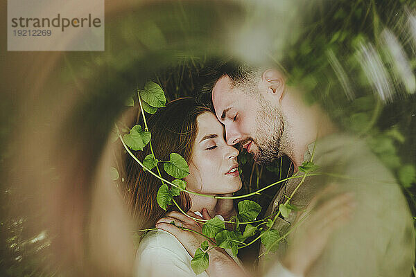 Romantisches Paar umarmt sich in der Nähe von Pflanzen