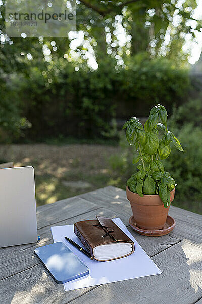 Laptop und Smartphone neben einer Topfpflanze auf einem Holztisch im Garten