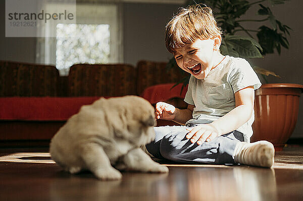 Junge lacht und spielt mit süßem Welpen auf dem Boden zu Hause