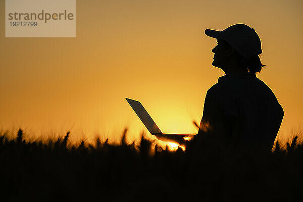 Silhouette eines Agronomen mit Laptop im Weizenfeld