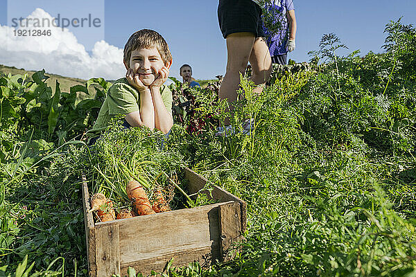 Lächelnder Junge mit den Händen am Kinn im Gemüsegarten an einem sonnigen Tag