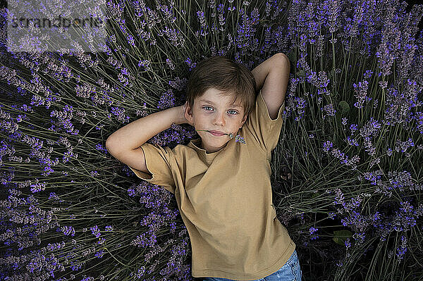 Junge liegt inmitten von Blumen im Lavendelfeld