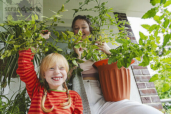 Happy girl holding tomato plant with elder sister on balcony