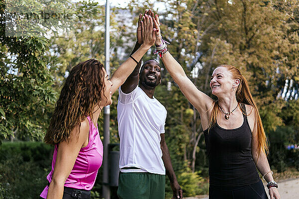 Glückliche Freunde  die im Park High-Five geben