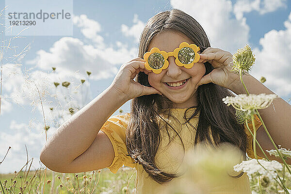 Lächelndes Mädchen mit Blumensonnenbrille  das im Feld an den Wangen zieht