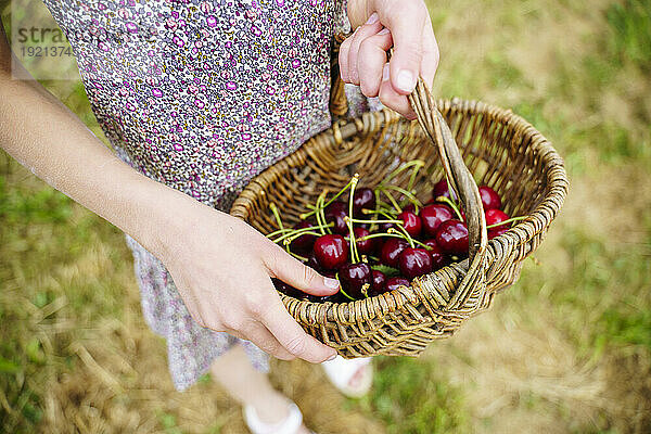 Girl holding wicker basket with cherries in garden