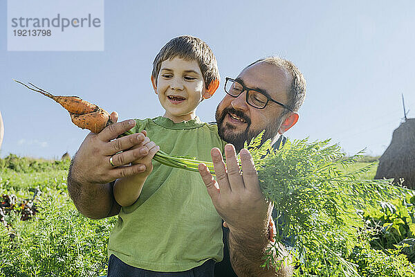 Vater und Sohn halten Karotte im Bio-Feld