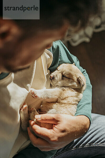 Cute puppy sleeping in arms of man at home